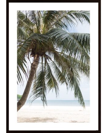 The Palm On The Beach Poster