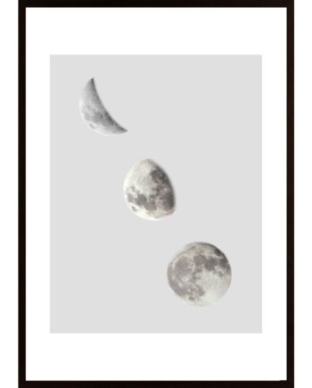 Phases Of The Moon Poster