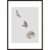 Phases Of The Moon Poster
