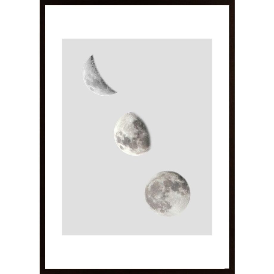 Phases Of The Moon Poster