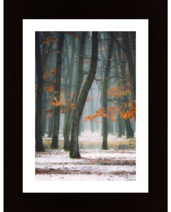 Autumn In My Soul Poster