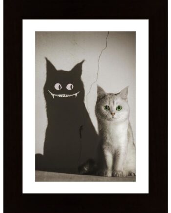 The Shadow Smiles To You Poster