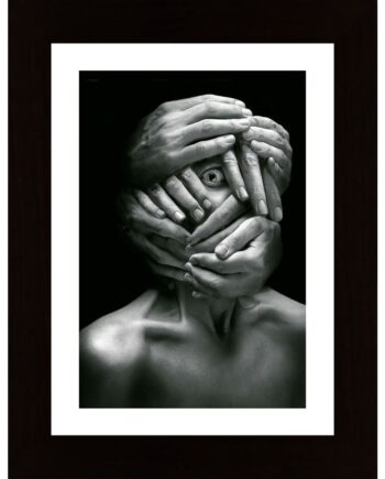 Sensus Videndi Poster