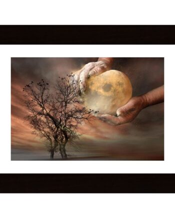 Catch The Moon Poster