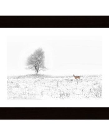 Christmas Coming Poster