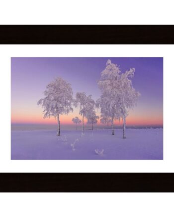 January Evening Poster