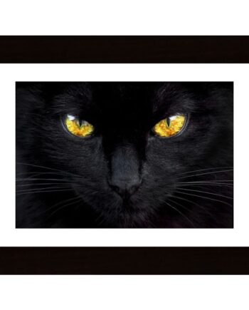 The Hypnotist Of The Night Poster