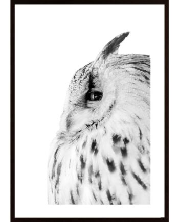 Eagle-Owl Poster