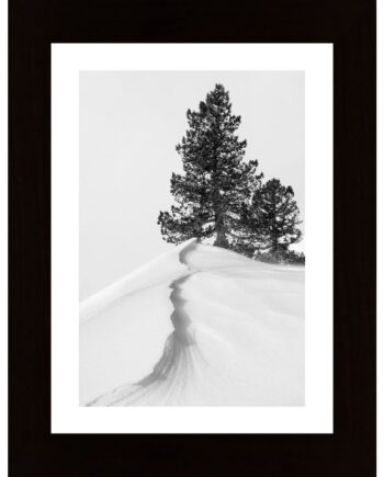 About The Snow And Forms Poster