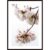 Blooming Cherry Poster
