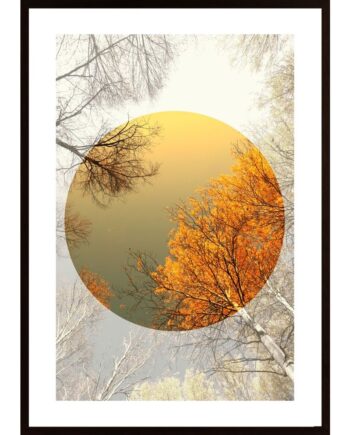 Autumn Leaves Poster