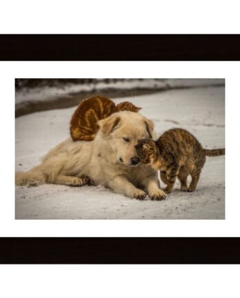 Sweet Effusions Poster