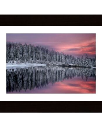 Winter Fairytale Poster