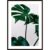 Green Leaves Poster