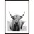 Scottish Highlander Poster