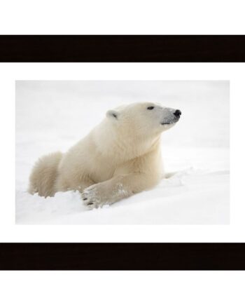 There'S Something In The Air Poster