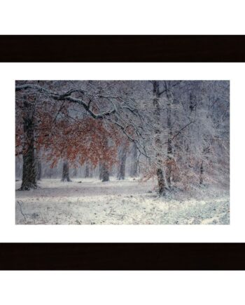 The First Snow Poster