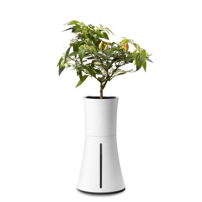 Botanium Botanium Självvattnande Kruka Vit