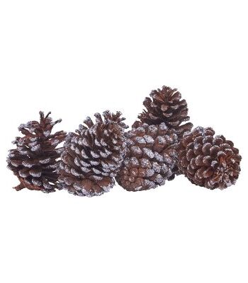 House Doctor Grankottar 6st, Silver/Glitter