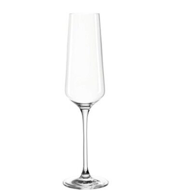 Leonardo PUCCINI Champagneglas 280ml 6-pack